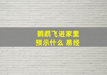 鹦鹉飞进家里预示什么 易经